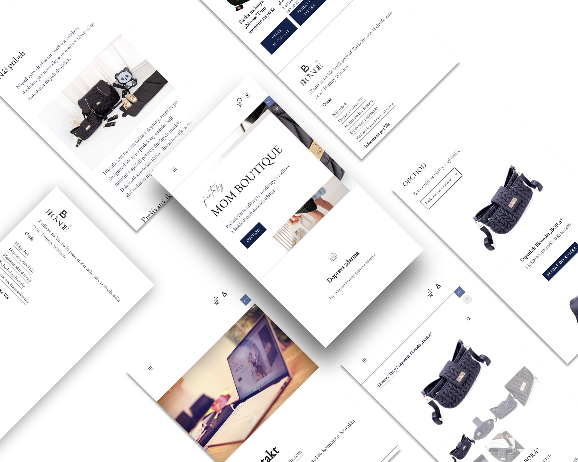 Případová studie projektu blonndie.com Případová studie projektu blonndie.com