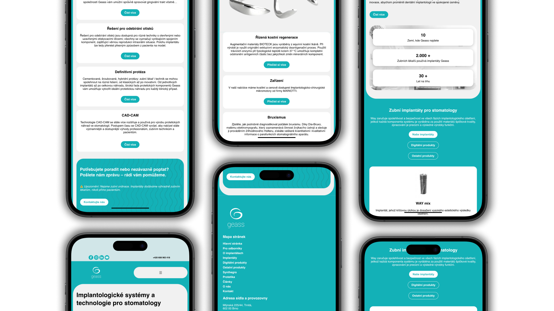 Případová studie projektu geass.cz